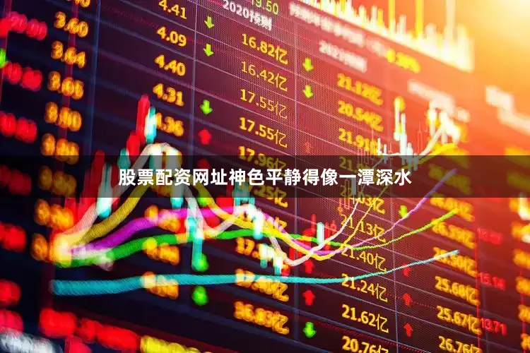 股票配资网址神色平静得像一潭深水
