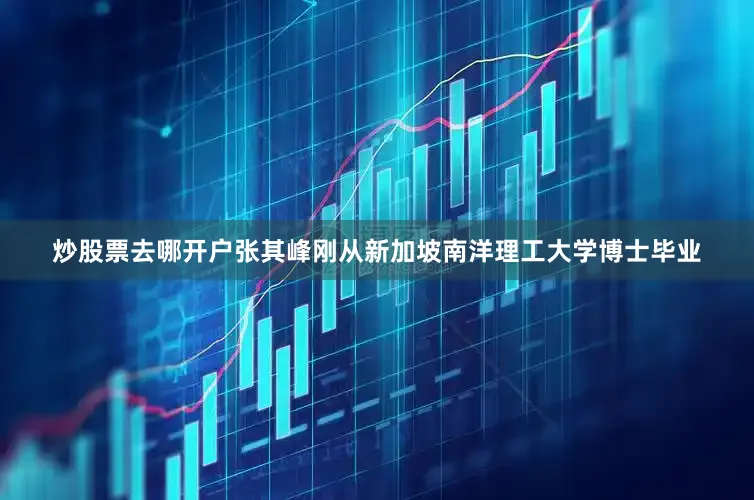炒股票去哪开户张其峰刚从新加坡南洋理工大学博士毕业