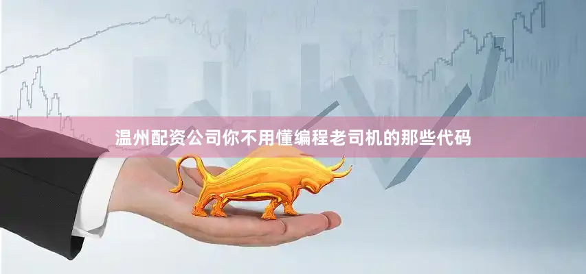 温州配资公司你不用懂编程老司机的那些代码